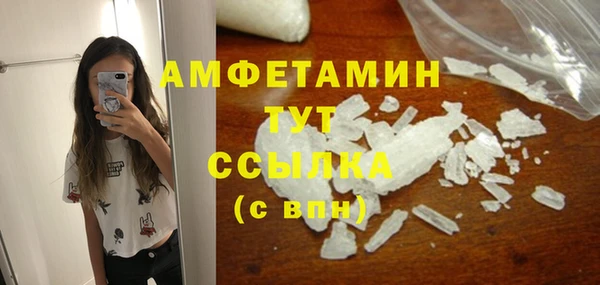 дмт Каменка
