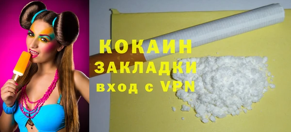 гашик Касимов