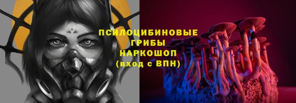 эйфоретик Карпинск