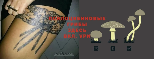 стафф Каменногорск