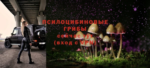 дмт Каменка