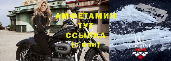 стафф Каменногорск