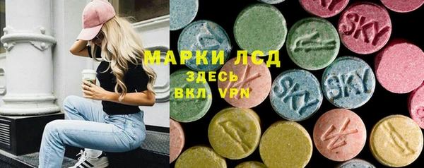 дмт Каменка