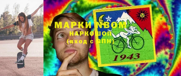 дмт Каменка
